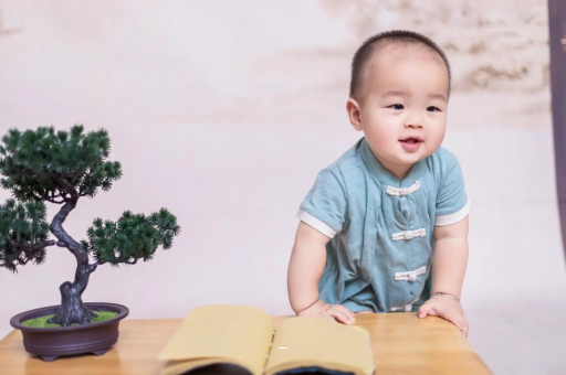 借卵生子机构可爱的企鹅宝宝